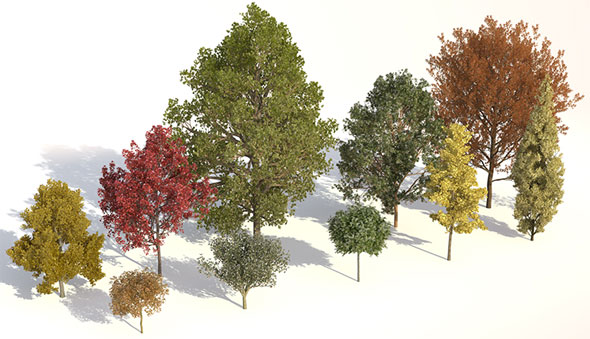 Various 3d plant models compatible with 3ds max and Cinema 4D