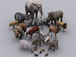 Animal animated models